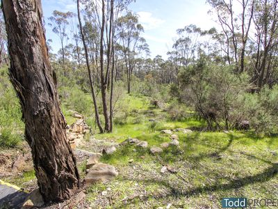 21 Bonneys Lane, Heathcote