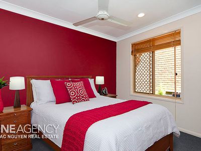 11 Napier Pl, Forest Lake