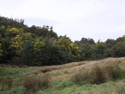 Lot 5 Cairns Road, Surges Bay