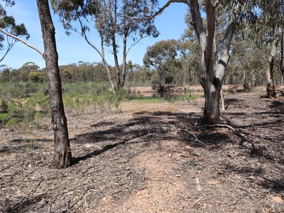 42 Ralstons Lane, Toolleen