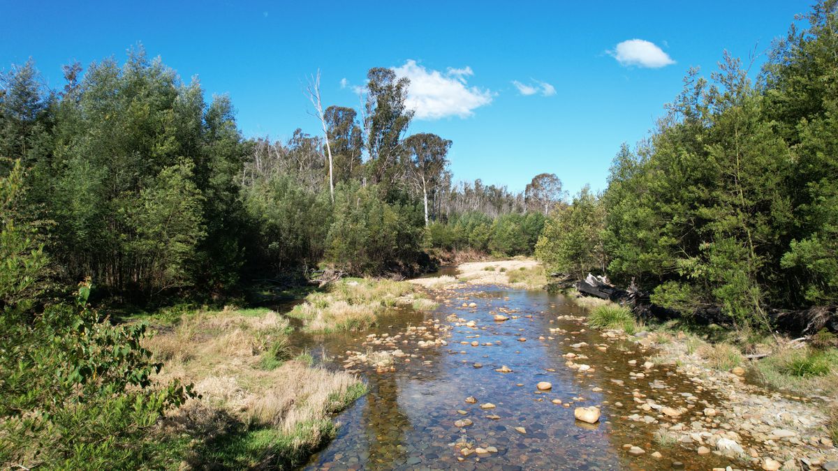 115 Gulph Creek Road, Nerrigundah