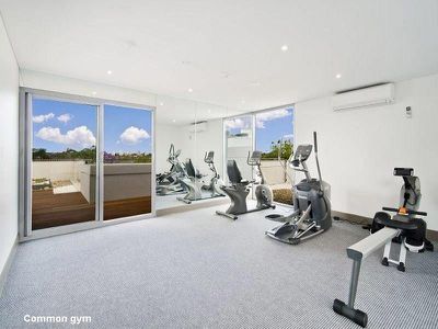 314 / 53 Palmer Street, Cammeray