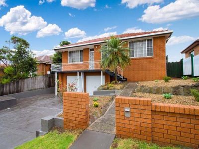 32 Minnegang Street, Warrawong