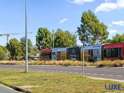 42 / 311 Flemington Road, Franklin