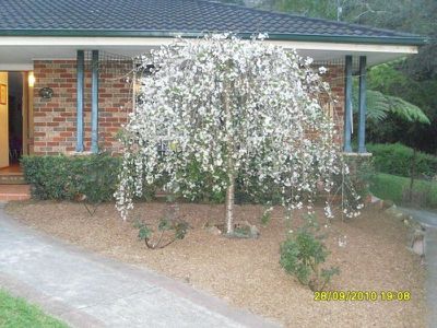 Ourimbah