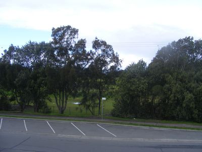 Forster