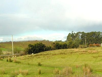 Narrows Road, Strathblane