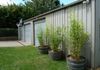 262 Byng Street, Orange