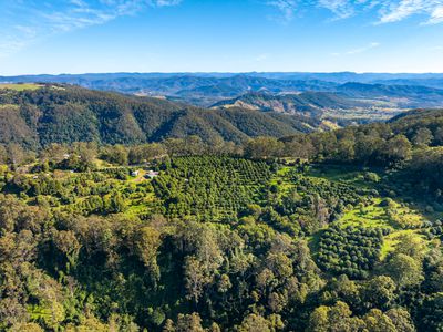 480 Ponsfords Road, Comboyne