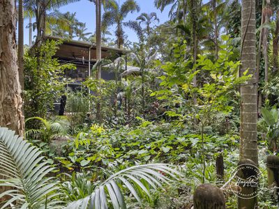 11 Annie Street, Landsborough