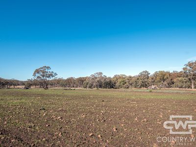 Lot 8, - Emmaville Road, Emmaville