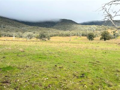 Lot Lot 1, TP746335 Murray River Road, Talgarno