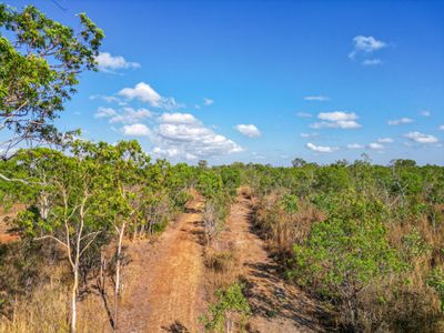 727 Reedbeds Road, Darwin River