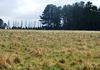 1083 Forest Road, Orange
