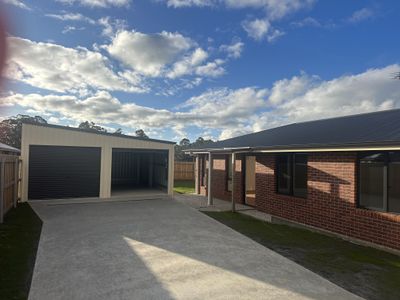 Wynyard