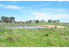 7034 Burrendong Way, Wellington
