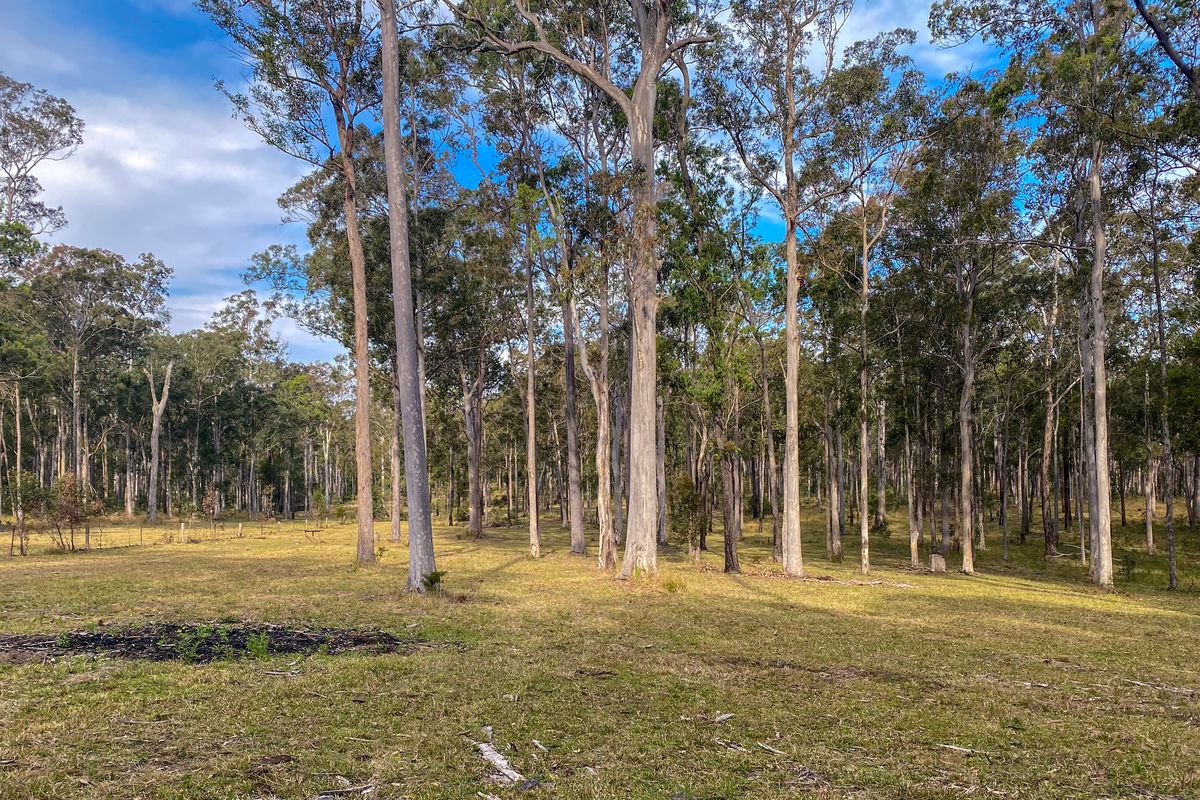 183 Upper Lansdowne Road, Melinga