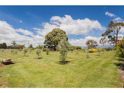 450 Armstrongs Lane, Cressy