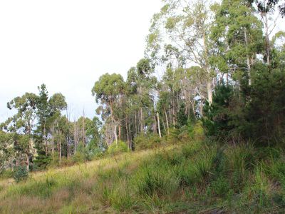 Lot 3 Evans Road, Port Huon