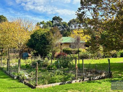 124 Sheoak Drive, Hay