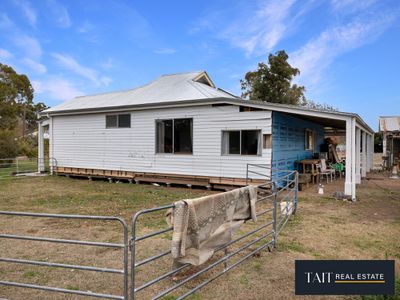 11 McCallum Street, Devenish