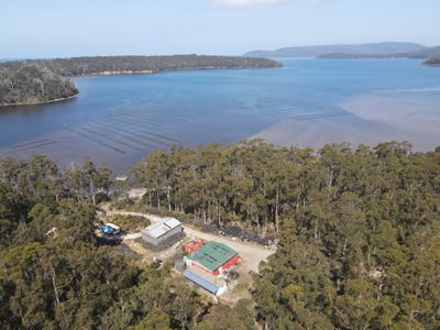 100 Cockle Creek Road, Recherche