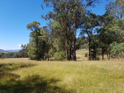 . Bullhead Road, Mitta Mitta