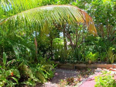 25 Boobialla Way, Kununurra