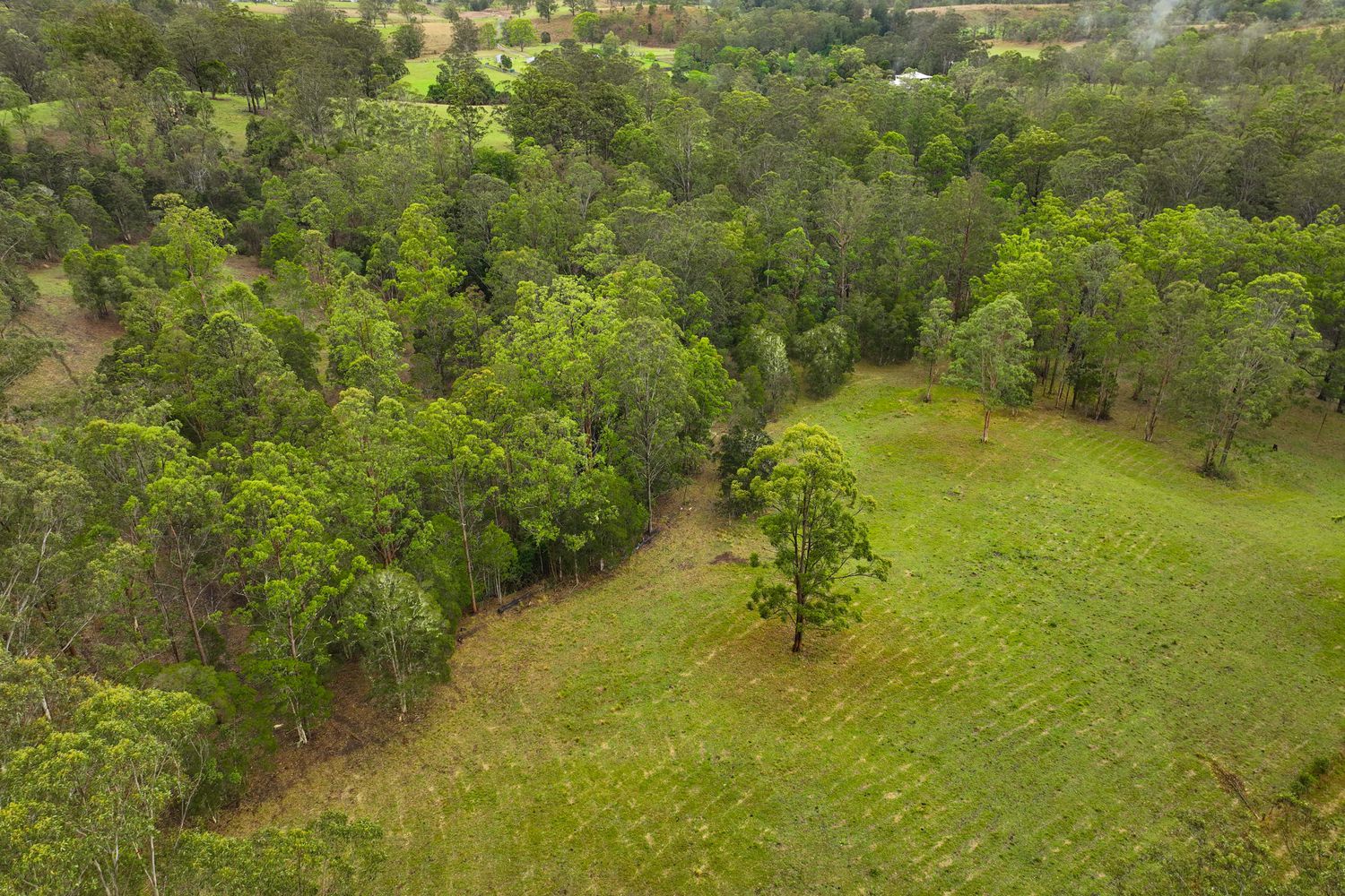 91 Lochinvar Road, Wherrol Flat Manning Valley Property & Livestock