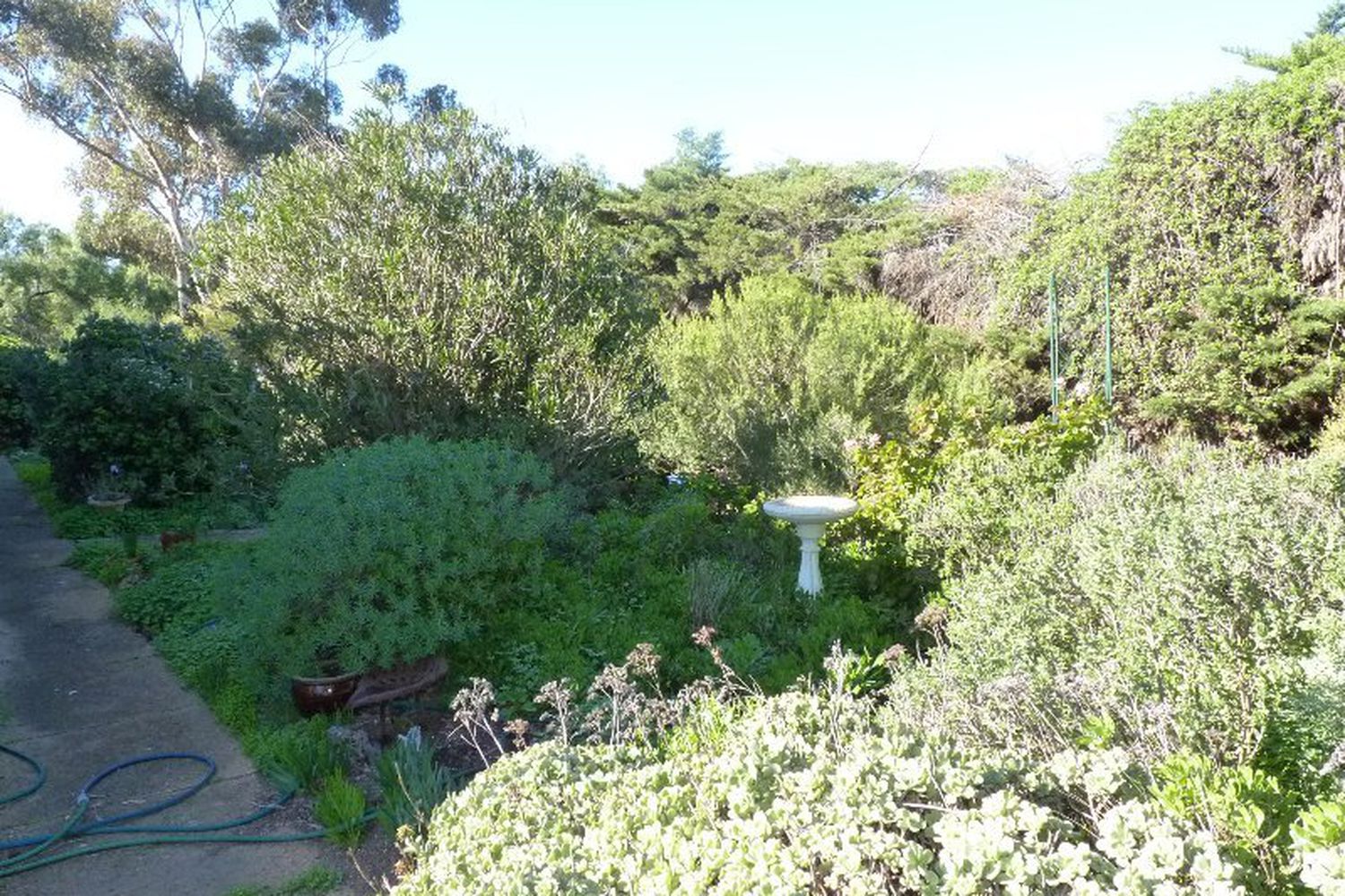 18 Frayne Avenue, Rupanyup