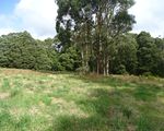 Lot 1, 4175 Great Ocean Road, , Lavers Hill