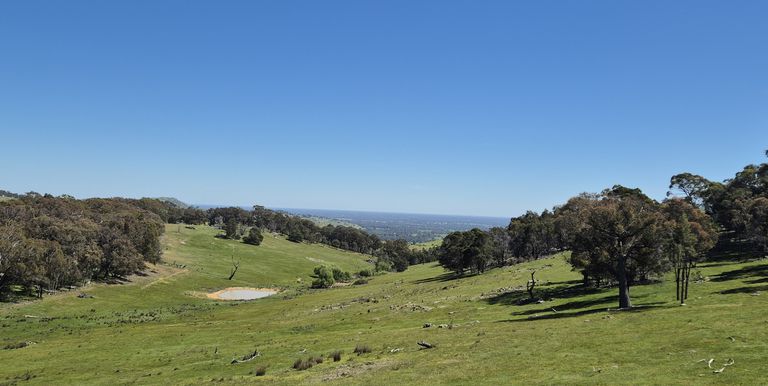 665 Fernhills Road, Marraweeney