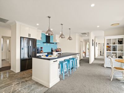 25 Kakapo Street, Saint Leonards