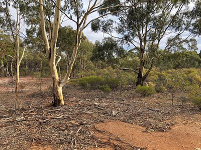 60D Mt. Kerang Road, Buckrabanyule
