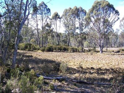 Lot 1 Lyell Highway, Bronte Park