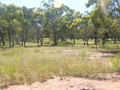 Lot 230 Caddell Street, Emmaville