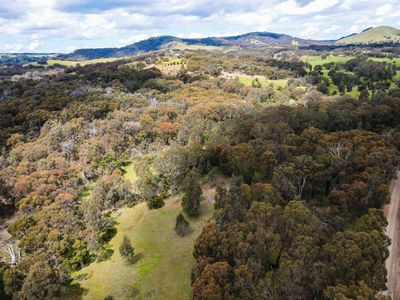 165 GHIN GHIN ROAD, Whiteheads Creek