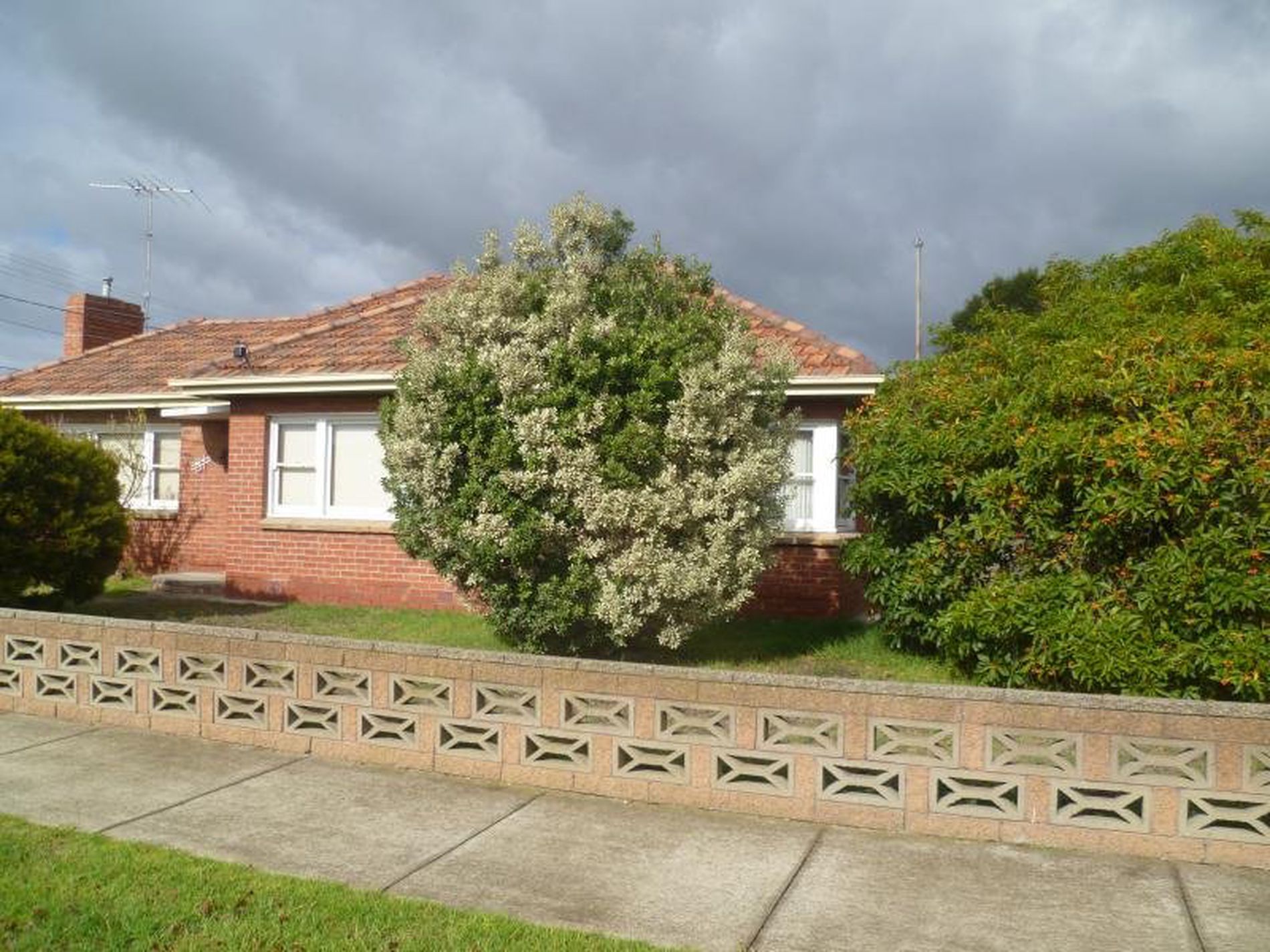 81 Gertrude Street, Geelong West