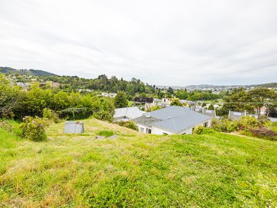 78 Buccleugh Street, North Dunedin