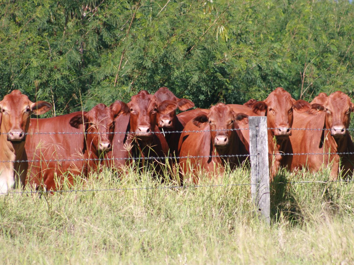 Rolleston Resolute Property Group