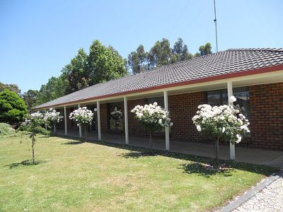 20 Arthur Street, Tarpeena