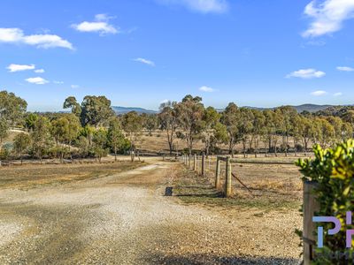19 Trent Court, Axe Creek