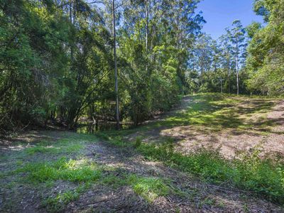 80 Robb Road, Lillian Rock