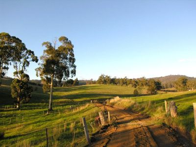 Brown Road, Lower Wattle Grove