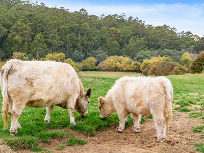6929 Huon Highway, Dover
