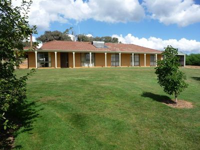 Little Billabong Road, Holbrook