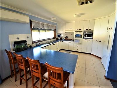 10 Mentor St, Seymour