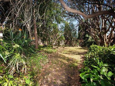 65 Croydon Street, Lakemba