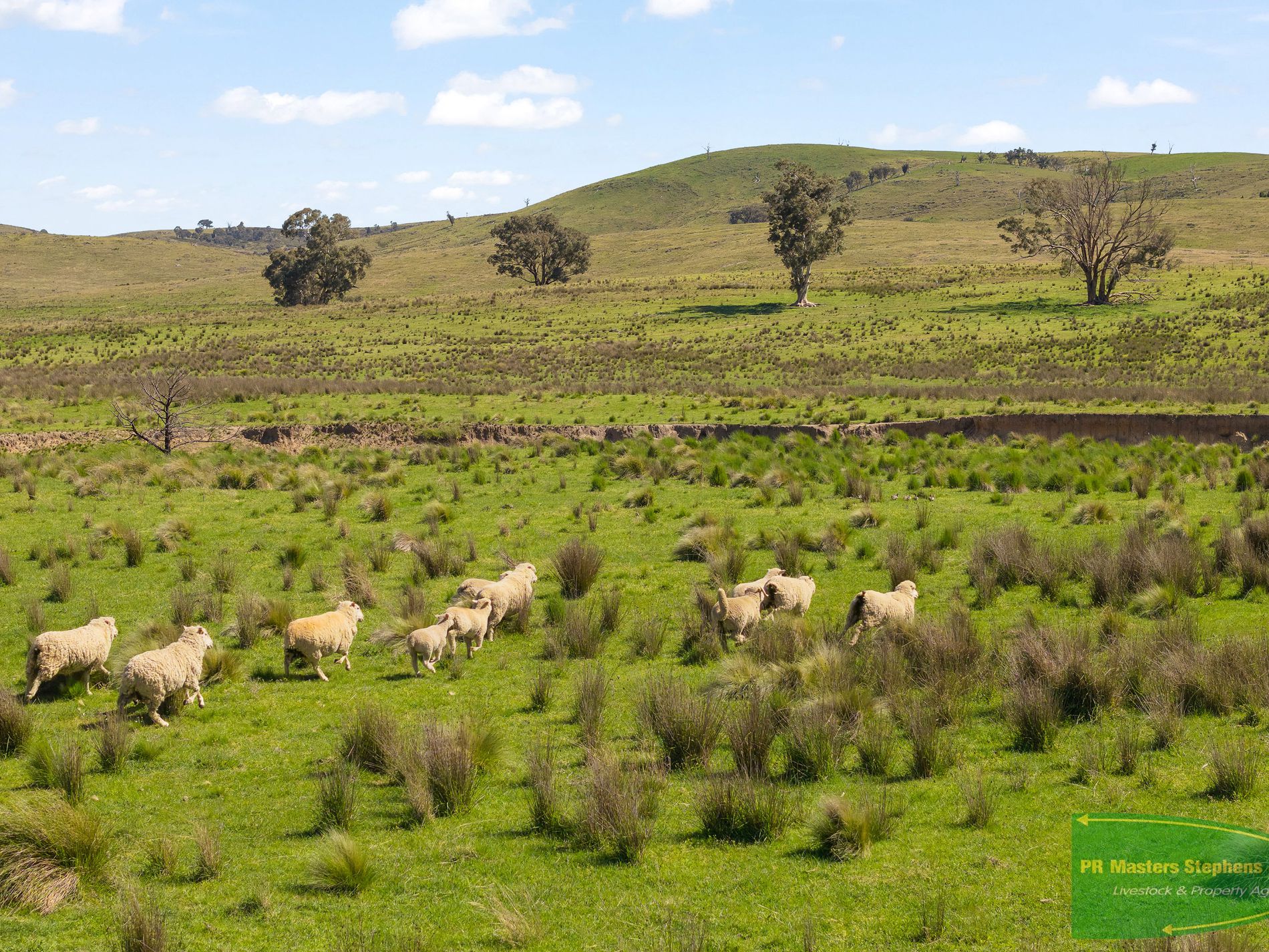 351 Shepherds Creek Road, Euchareena