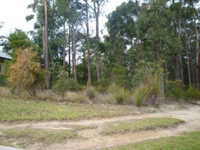 Lot L212/DP1043758, 31 Yarrawonga Drive, Mollymook